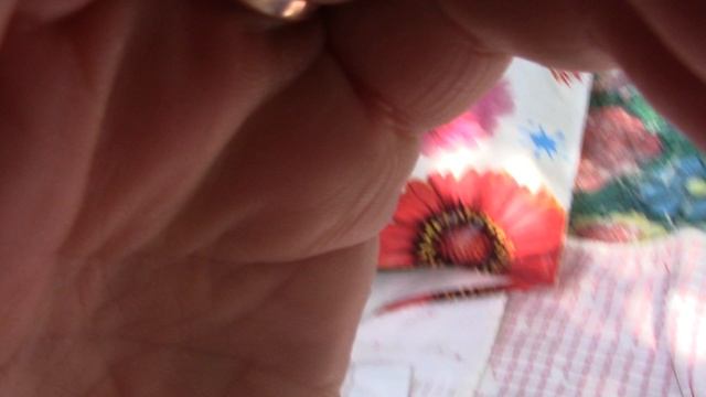 MVI_2332