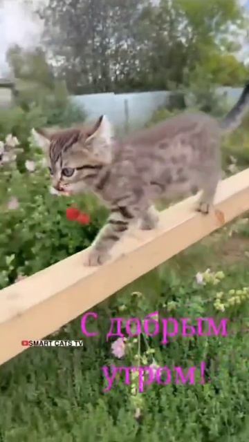 Забота о друге
