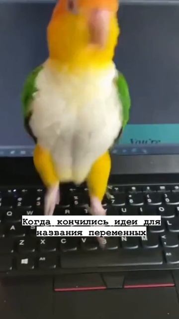 Закончились идеи
