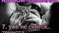 7. УЖЕ НЕ СПИТСЯ ТЕМНОТА..