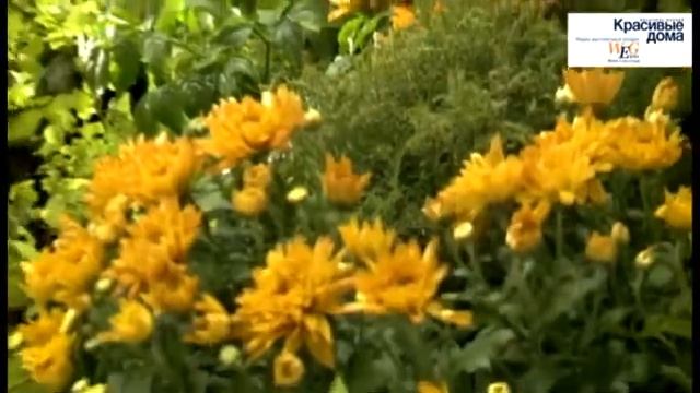 Выставка «ДОМ И САД» 2011