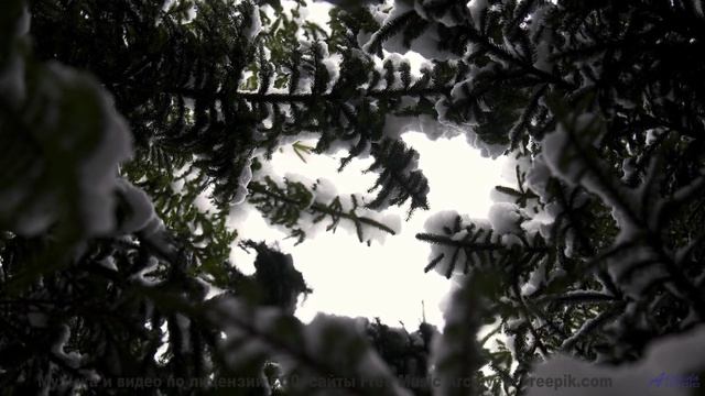 Проснитесь под эти звуки - и день начнётся с нежности! - Bee Careful Of Da Beez -- Lance Romance --