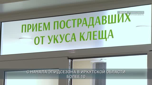 Более 10 тыс. жителей Иркутской области пострадали от клещей