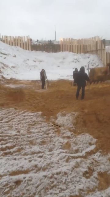 Разработка котлована г  Красногорск