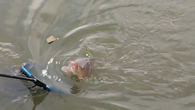 1000030832.mp4