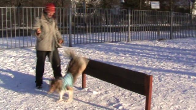 Лета 10.02.2020 1 площадка