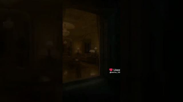 Роналду смог найти мясо для собаки