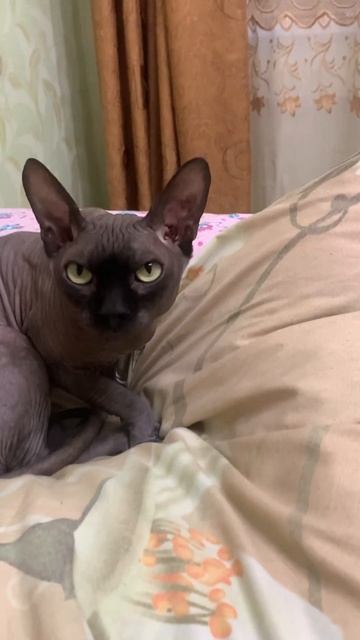 7 октября 2023 г.