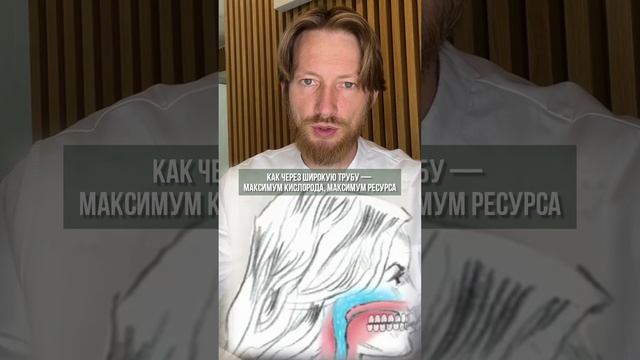 как форма носа и прикус вляет на здоровье? #прикус  #рецепт #зож #похудение #пп #нутрициолог