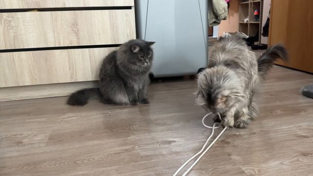 Игры вечером