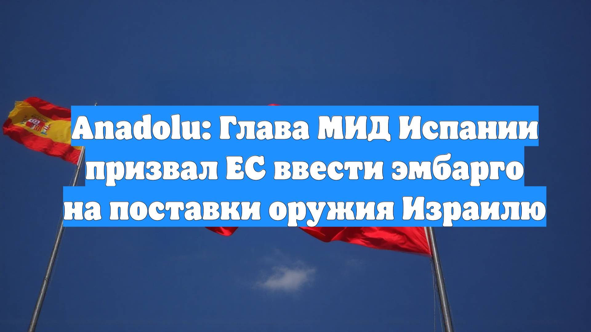 Anadolu: Глава МИД Испании призвал ЕС ввести эмбарго на поставки оружия Израилю