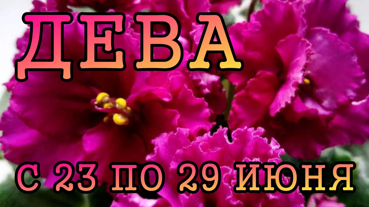 ДЕВА таро прогноз на неделю с 23 по 29 ИЮНЯ 2025 года.