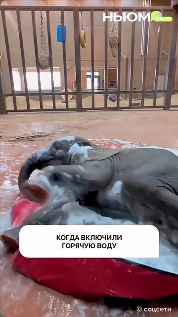 Летнее, актуальное.