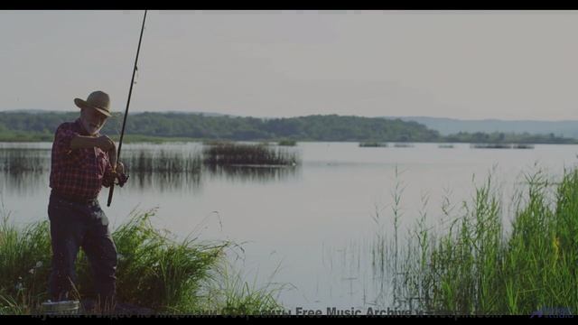 Леса манят сильнее, когда сопровождает такой саунд - Who We Are -- Taylor Poe -- 10 Million Babies