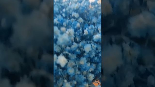 Репетиция поздравления