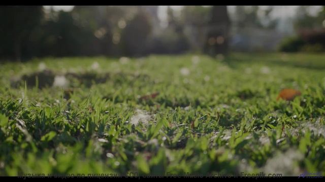 Пыль, ветер в лицо и звук, который заводит как двигатель! - Never Long (Time Goes By) -- Sahara Sky