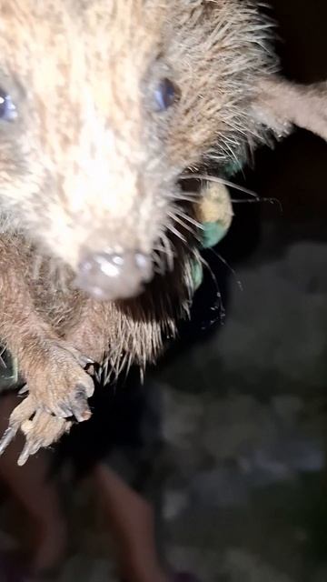 1000010445.mp4