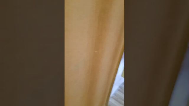 1000179023.mp4