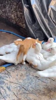 Ну возьмите меня в свою компанию😜