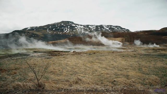 Лес, который ЗАПОМИНАЕТ каждого! - Disturbing Hybrid -- One Man Book -- Life is a Language