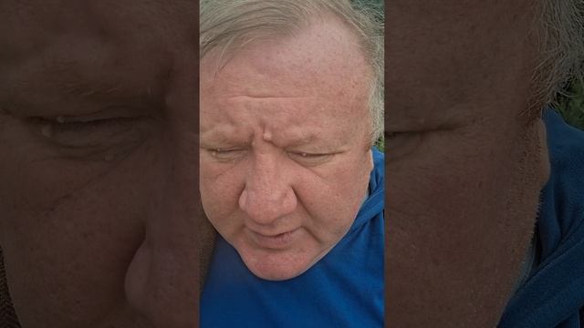 В чем смысл. Брат. А вот в чем.
