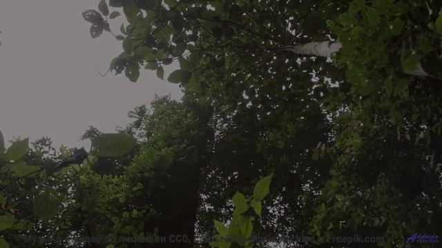 Клип, созданный искусственным сверхразумом - искусство будущего! - Acid Rain -- Kirk Osamayo -- Seas