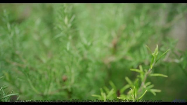 Пейзажи расцветают ярче, когда включается этот трек - I Can Do Better -- Derek Clegg -- Stop the Lin