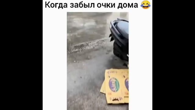 Смешные животные 😍 / №4