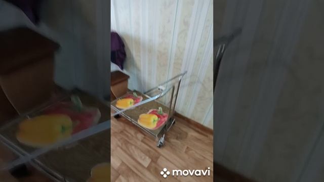 Сдам в аренду студию Норильская 40, Красноярск
