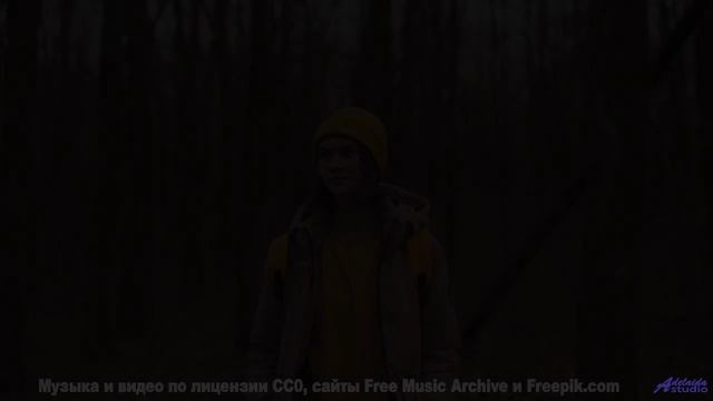 Эта песня звучит так, будто её написал сам ветер в горах! - Carefree Morning -- Scott Holmes Music -