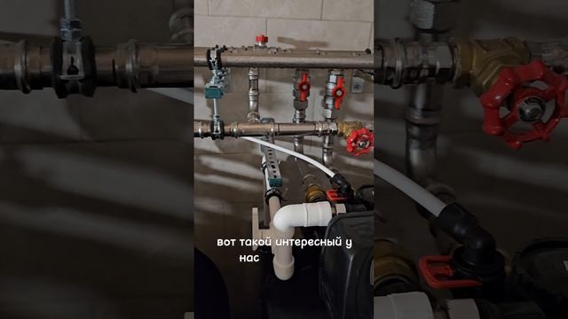 Видели такое?