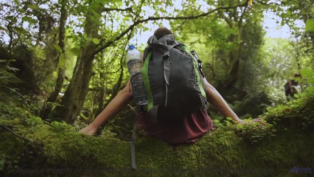 Песни для тех, кто измеряет расстояния не километрами, а эмоциями - ICU -- Small Tall Order -- Easil