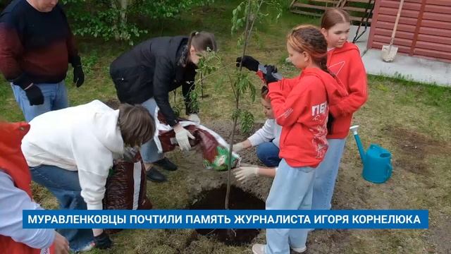 "Новости Муравленко. Главное за день", 17 июня 2025 г.