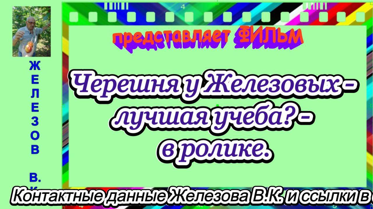 Черешня у Железовых - лучшая учеба? - в ролике