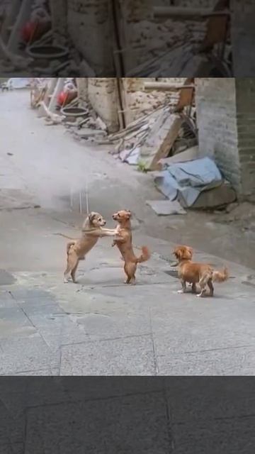 круто