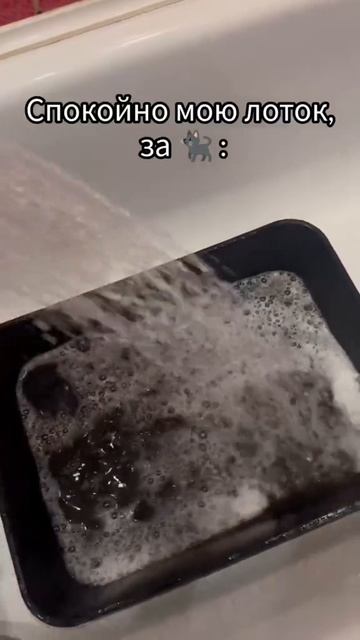 жиза