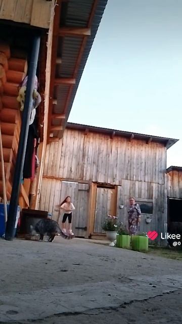 1000012426.mp4