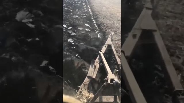 Пахота плугом плн-4-35 #сельскоехозяйство