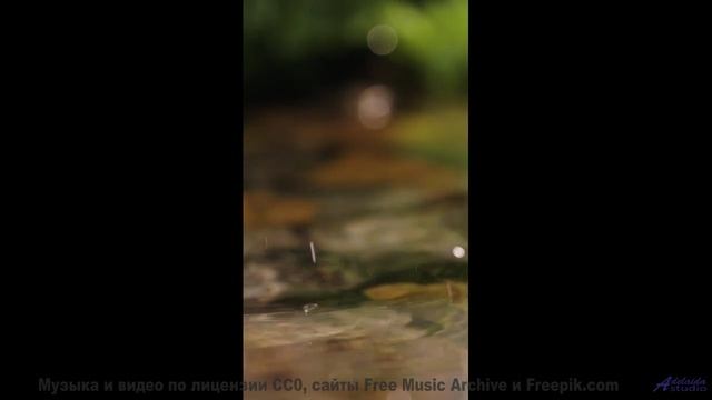 Эта музыка - как прикосновение, от которого кружится голова... - Oh My Kid -- Hope and Social -- Yor