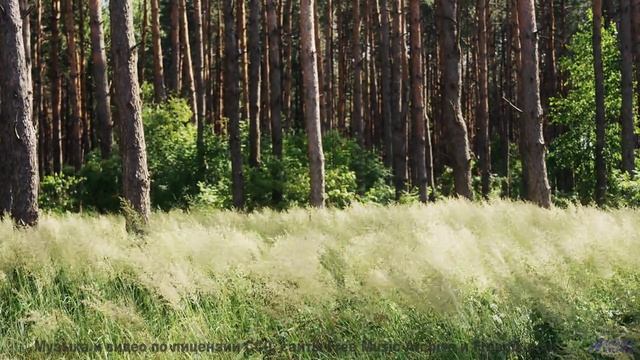 Вы не представляете, насколько прекрасен мир, пока не нажмёте Play! - lonesome faraway sounds -- Wes