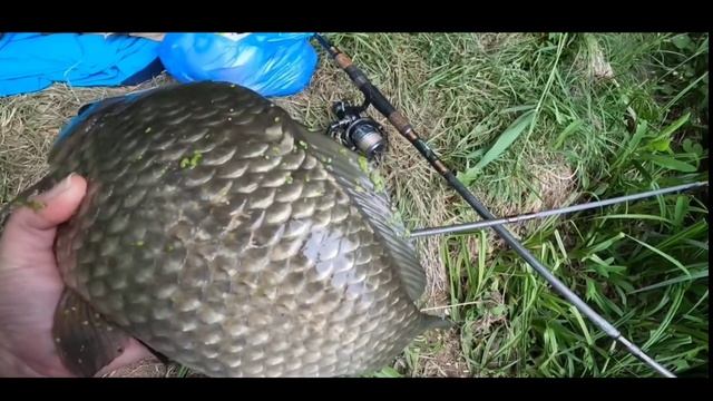 Ловля огромных карасей 🤗🎣🐟💪
