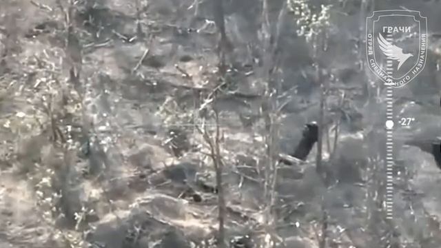 Разведчики отряда СпН ГРАЧИ совместно с артиллеристами размотали группу противника в лесополке !!!