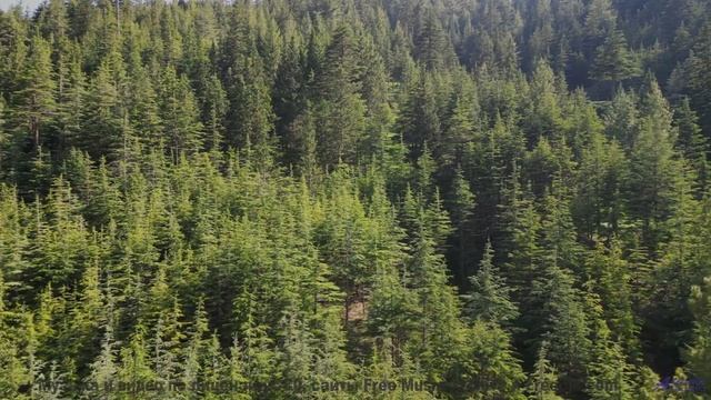 Ты НЕ ОЖИДАЕШЬ такого финала! - Agonizar (XXXI) -- opo -- Estudios Indigeniformes