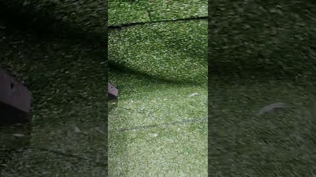 7125751
