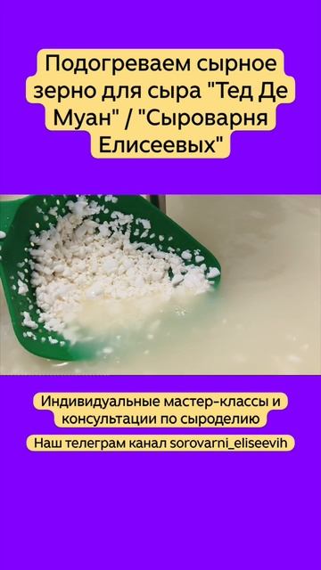 Подогреваем сырное зерно для сыра "Тед Де Муан" / "Сыроварня Елисеевых"