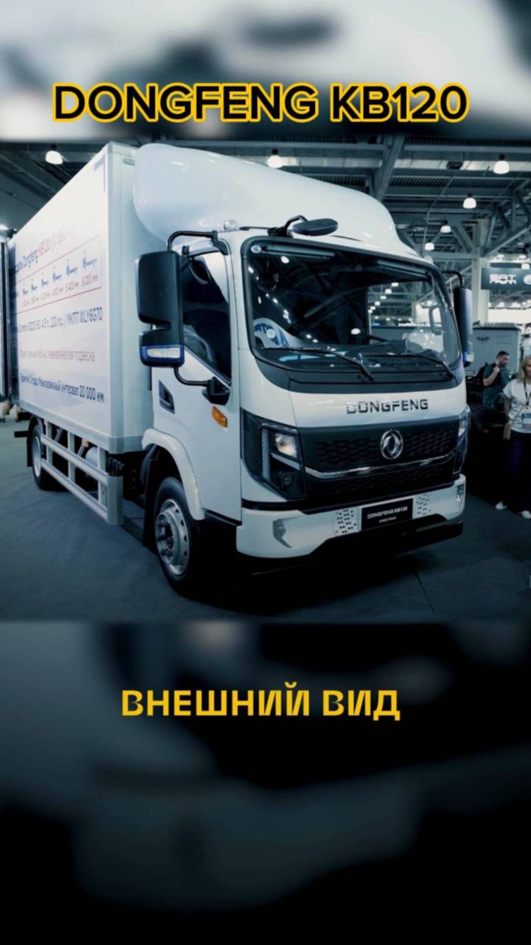 Крокус - Dongfeng Reels