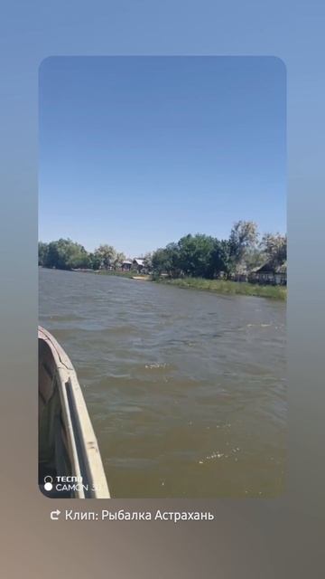 1000040642.mp4