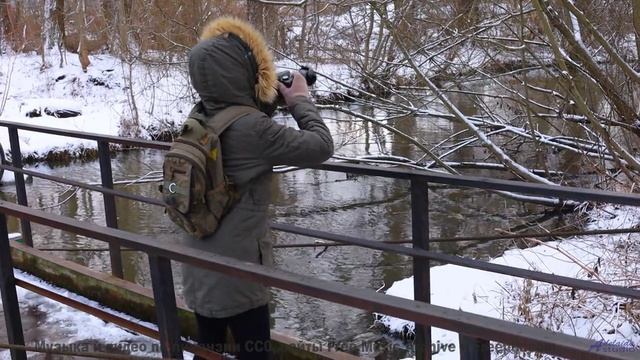 Звуки, создающие материю из пустоты - наука или магия - Shines Through Trees -- Podington Bear -- Sa