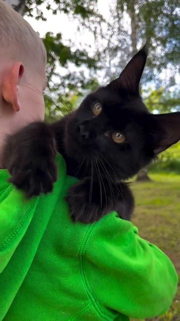 Катя