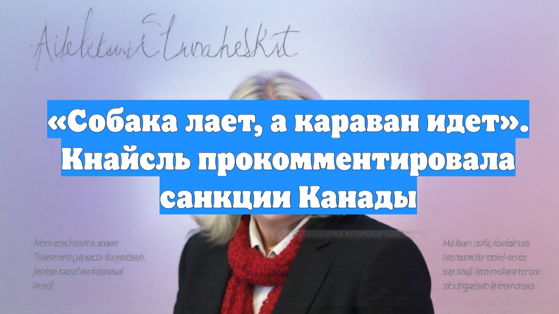 «Собака лает, а караван идет». Кнайсль прокомментировала санкции Канады